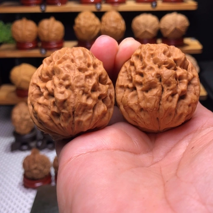 【闪购商品】龙钾55