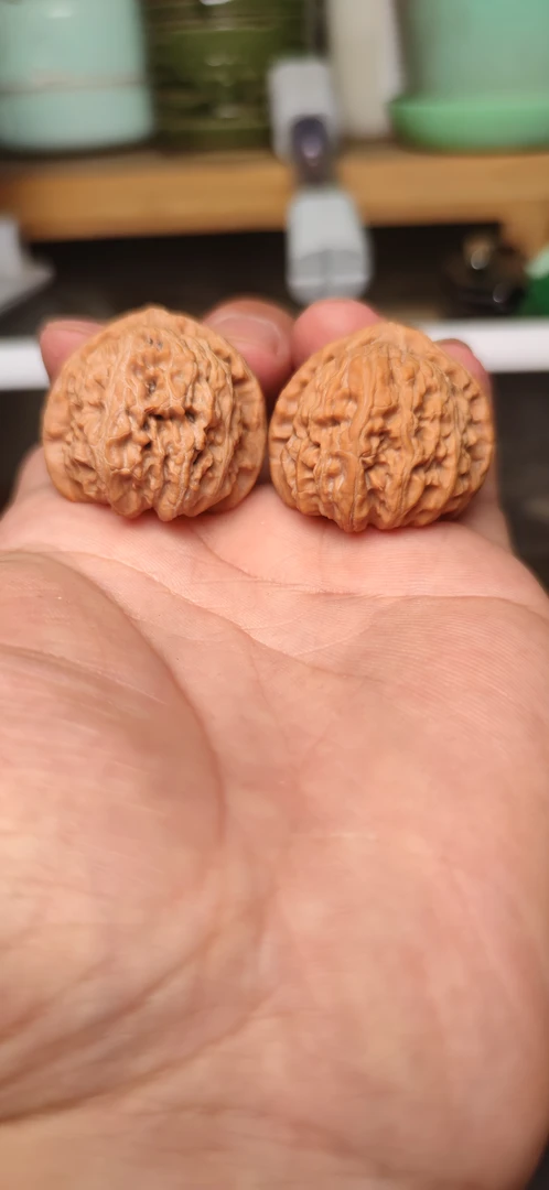 练手对儿的小尺寸白狮子文玩核桃，是随机发货的，练手对