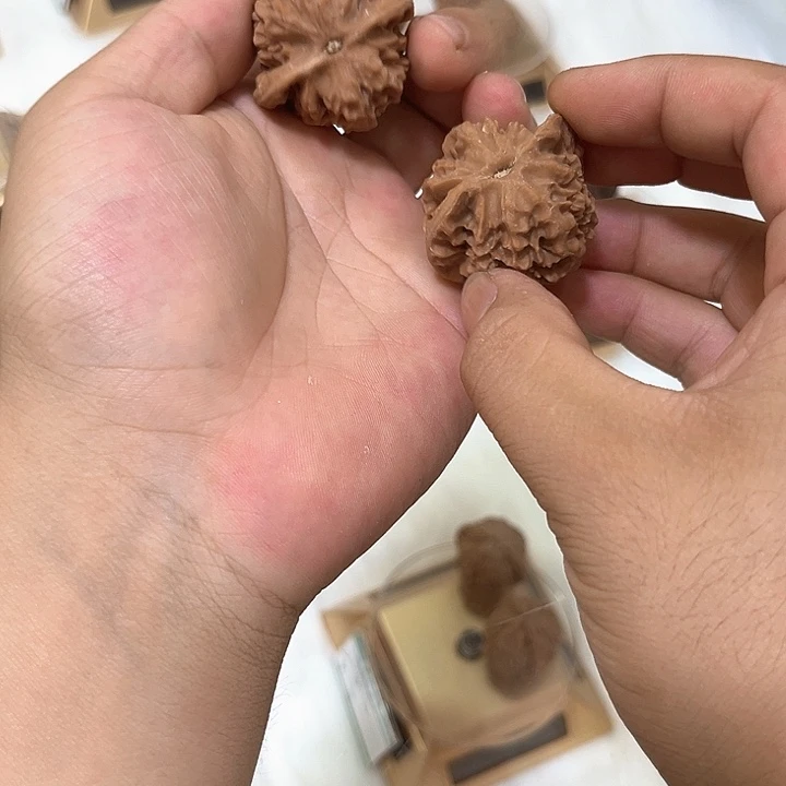 M***k吊坠文玩核桃秦岭龙鳞纹