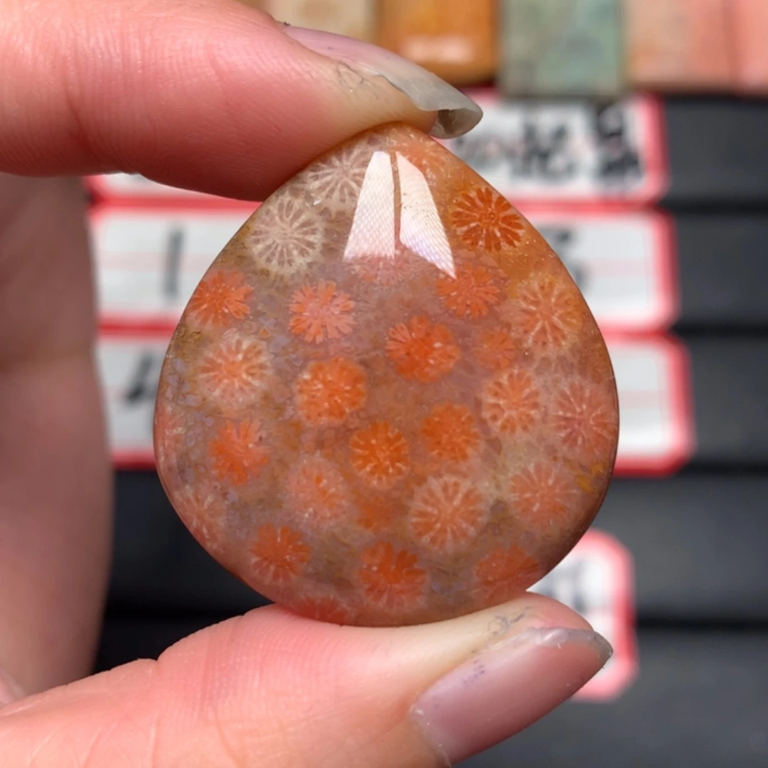 【闪购商品】硅化玉颈饰未镶嵌碧**跹