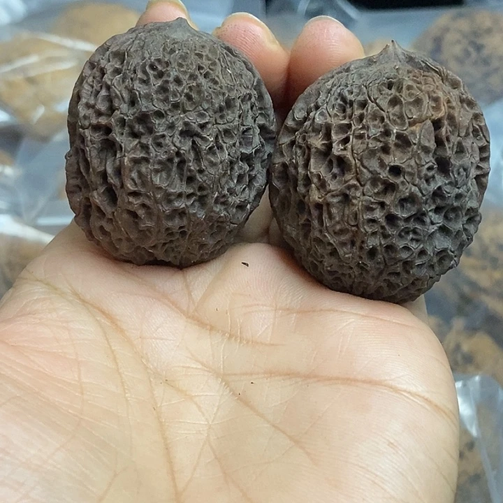 文玩核桃把件云南铁核桃基地48