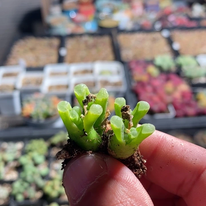 八**说22119一组一组一组