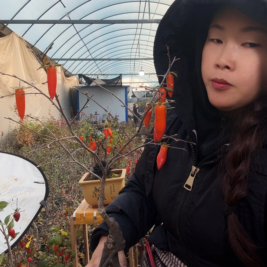 记***营完全开放老鸭柿子