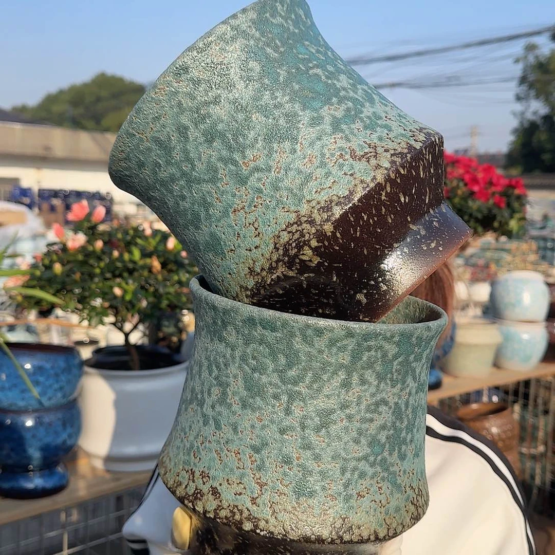 王嫂花盆直播1116-366高20口20