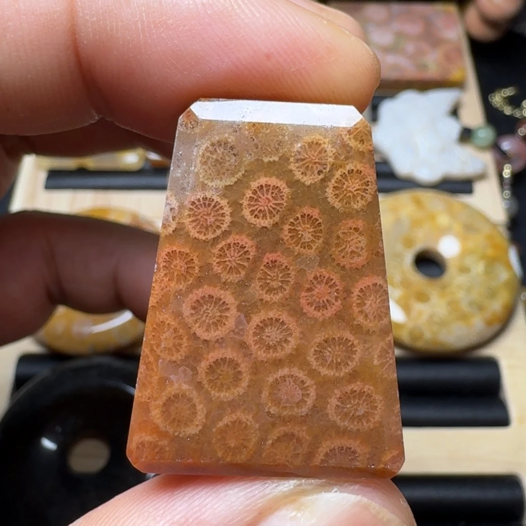 硅化玉未镶嵌纯天然色有机玉石保真色