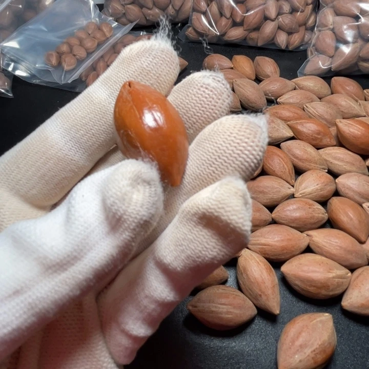 葫***林手串/手链猪牙我是