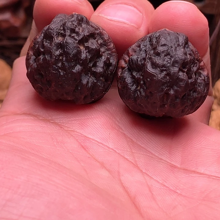 桃核把件地闷小龙脊36号链接