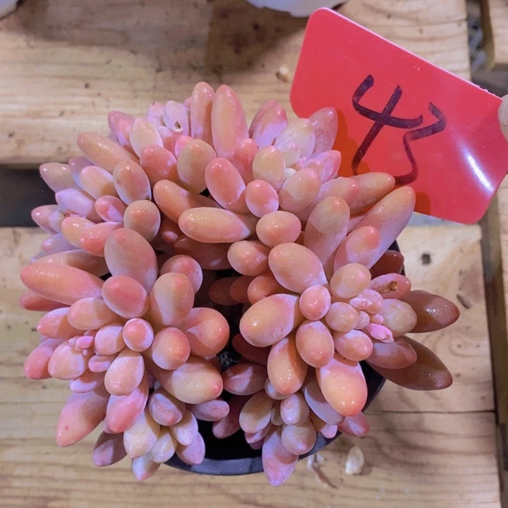 这么久不回来也没什么