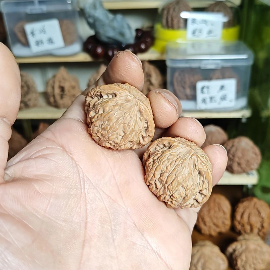 少***倾小尺寸泥鳅背，看货下单