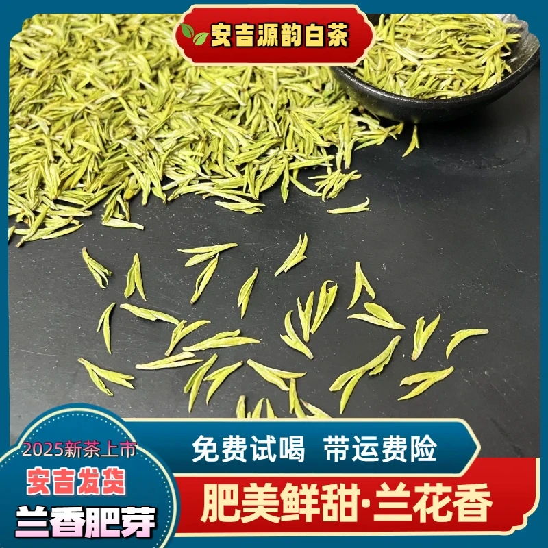 w1【开园顶芽】2025年新茶产区头春头采顶芽鲜爽鲜甜高白化
