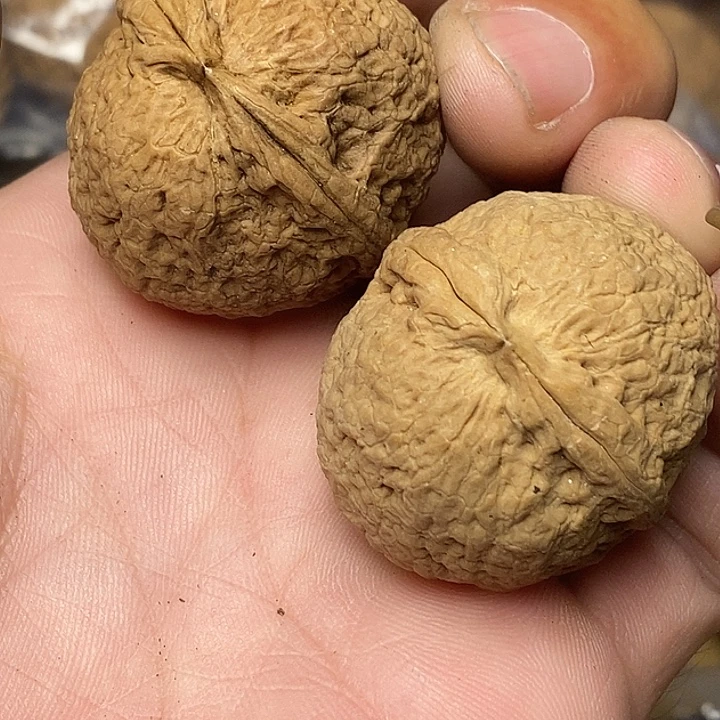 文玩核桃把件云南铁核桃93