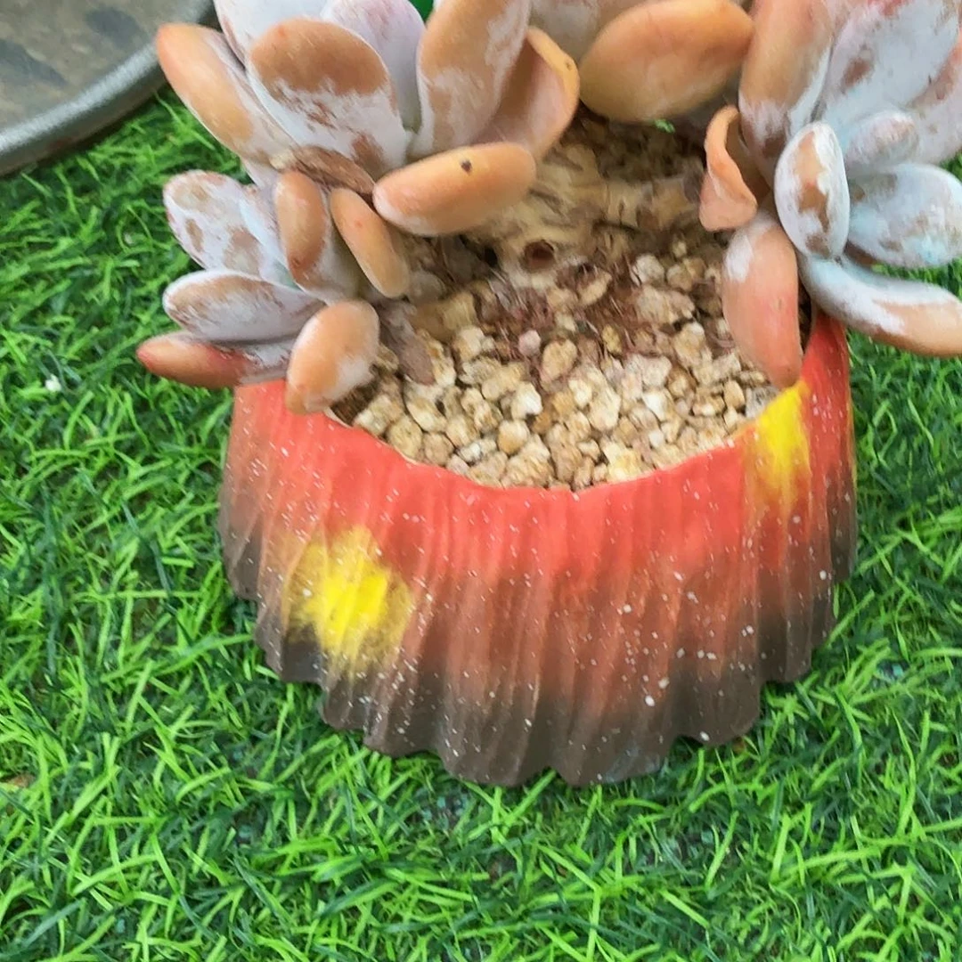 微***子啊啊啊啊啊啊啊啊啊