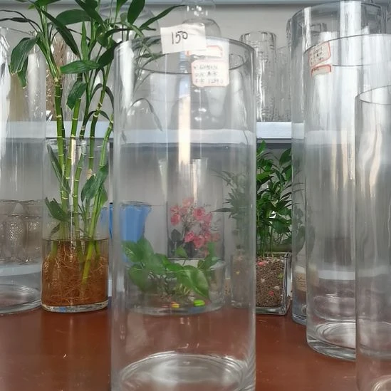 玻璃昌达玻璃直筒高度35口径15