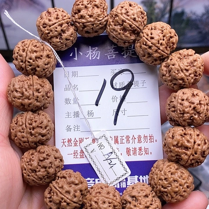 手串金刚菩提21安娜油籽
