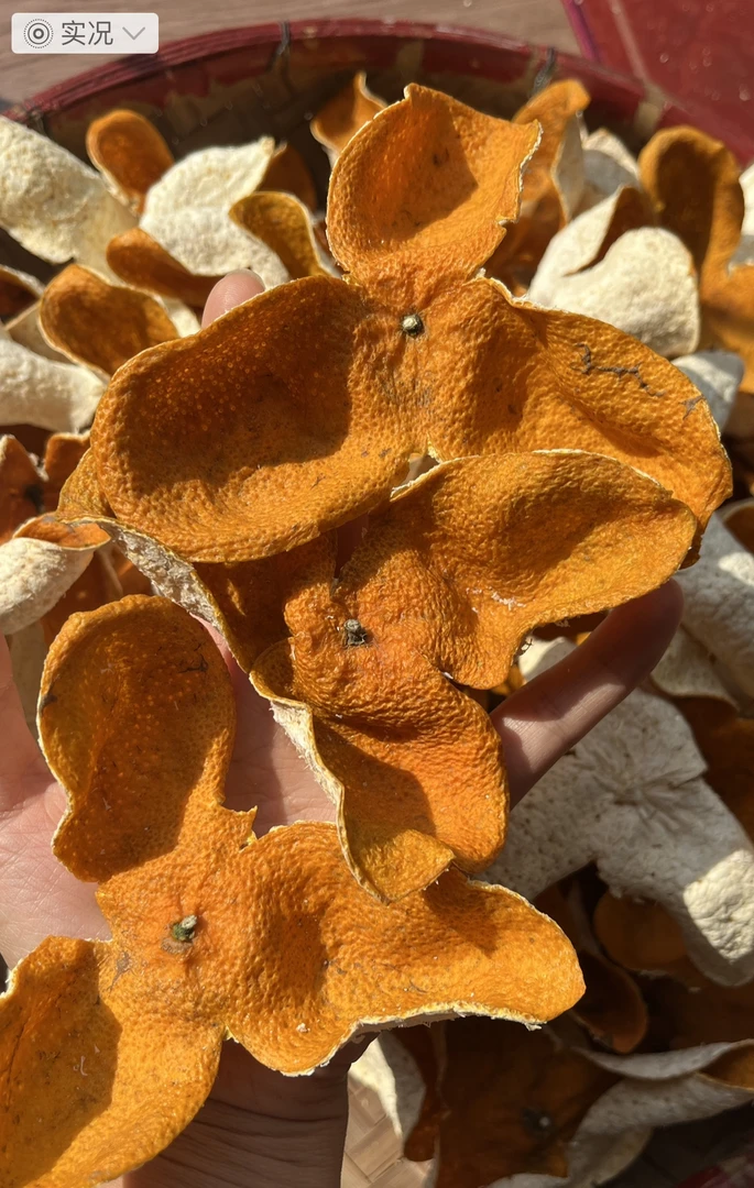 2024年东甲冬后大红皮