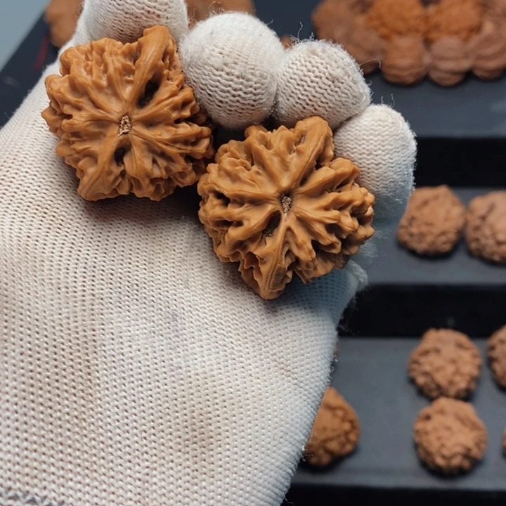 把件文玩核桃山***?秦岭秦闷