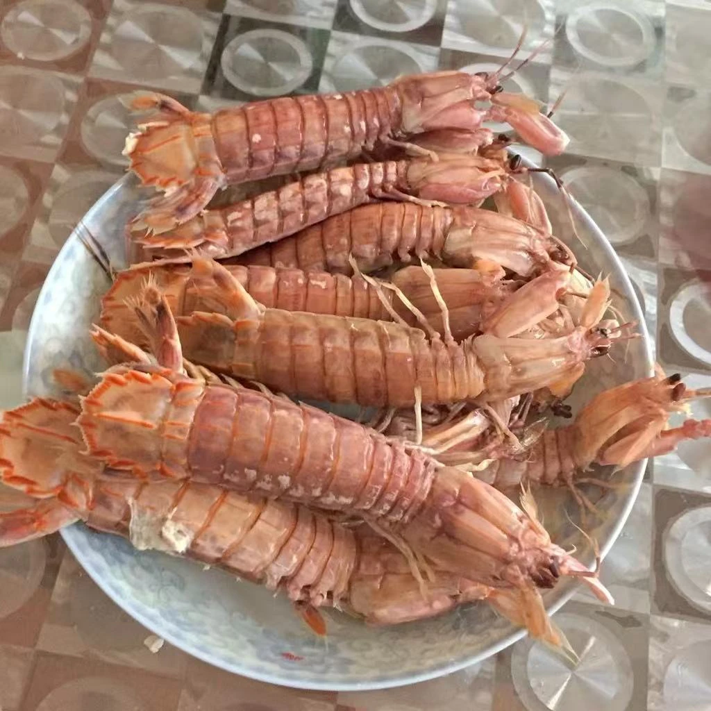 自家渔船鲜美爬虾(保鲜不保活)