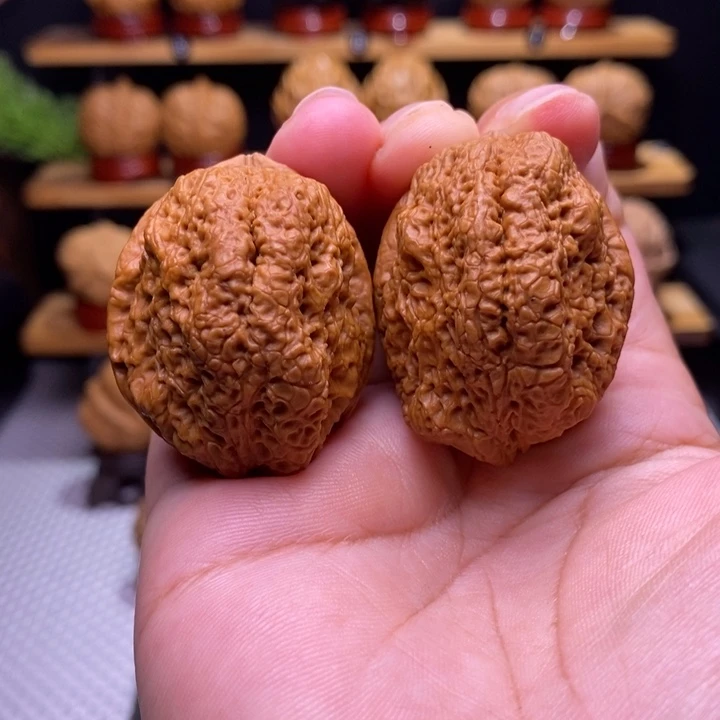 核桃云铁蝴蝶蝉23号