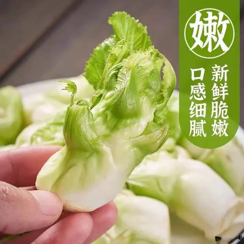 农家自种儿菜棒棒菜当季新鲜露天蔬菜