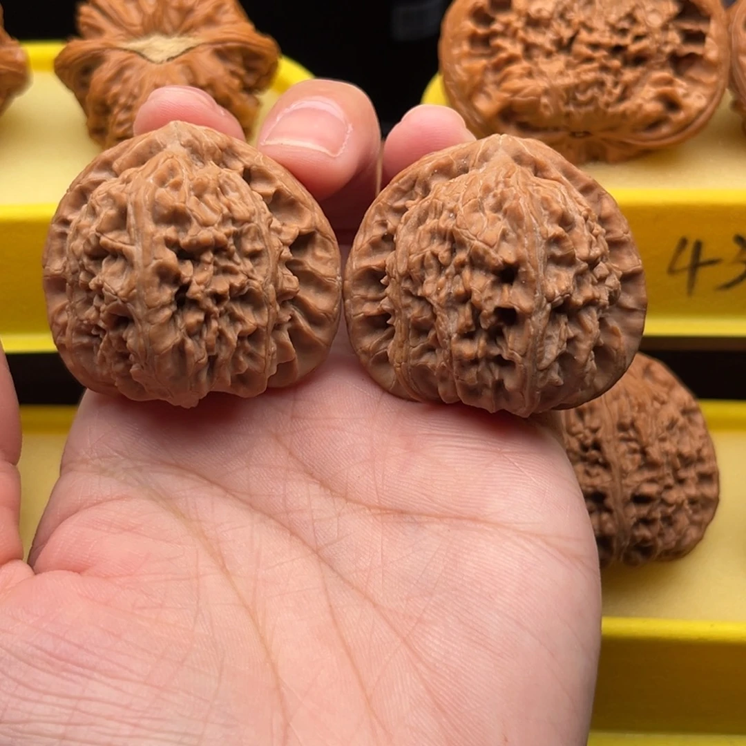 文玩核桃吊坠40+白狮子