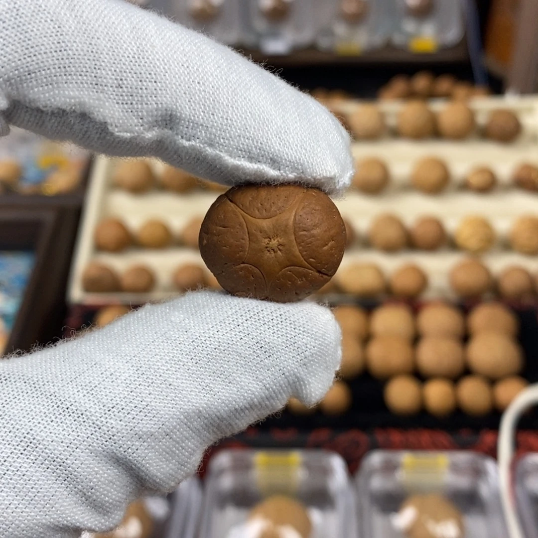 凤眼菩提吊坠19.6五星单颗