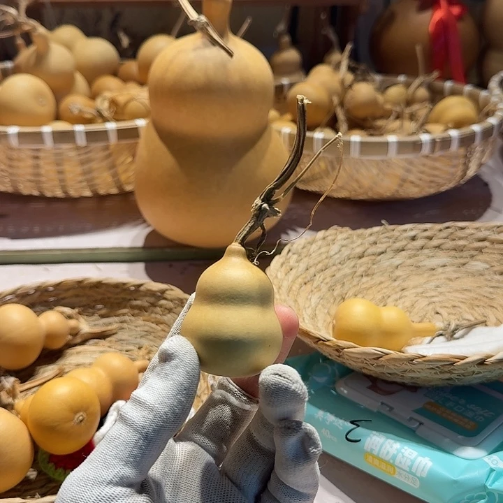 一**鹏哈哈哈哈哈哈