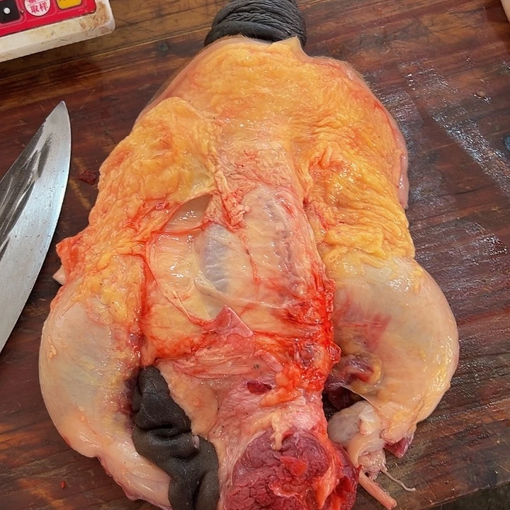 广西土耕马马肉、送马油沙姜小米辣12个月中国大陆