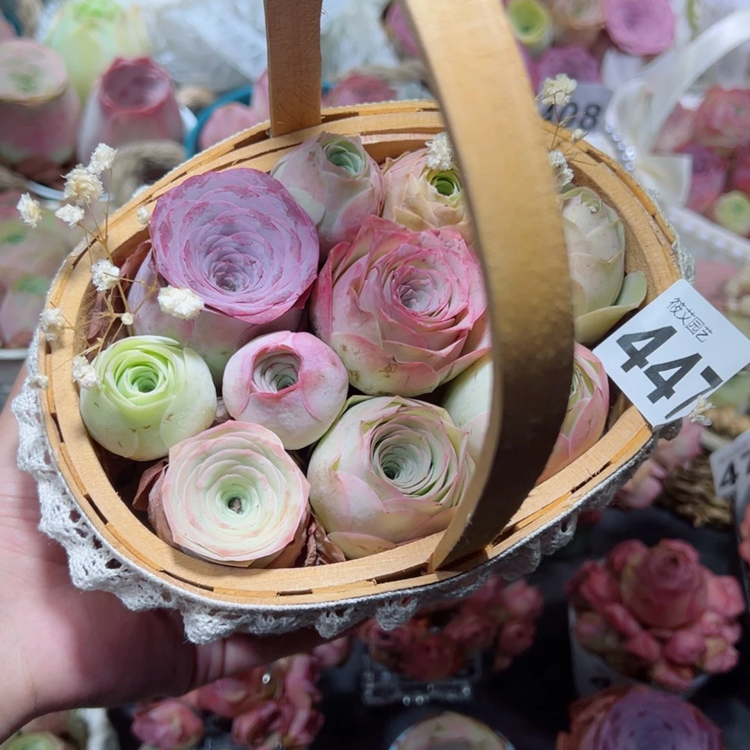 喵***茄447竹编手提花篮混合玫瑰。