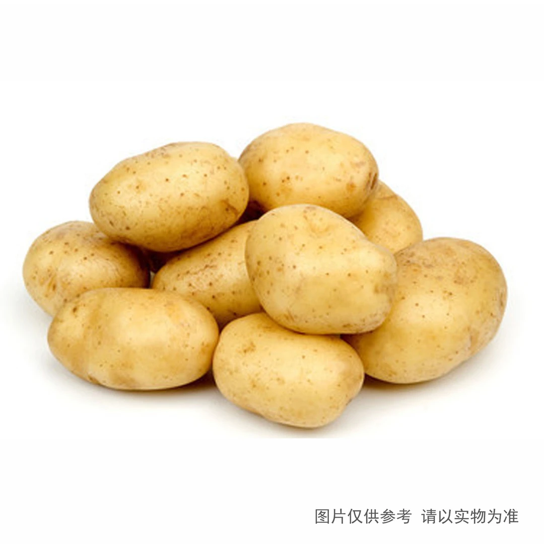 土豆（约500g/份）
