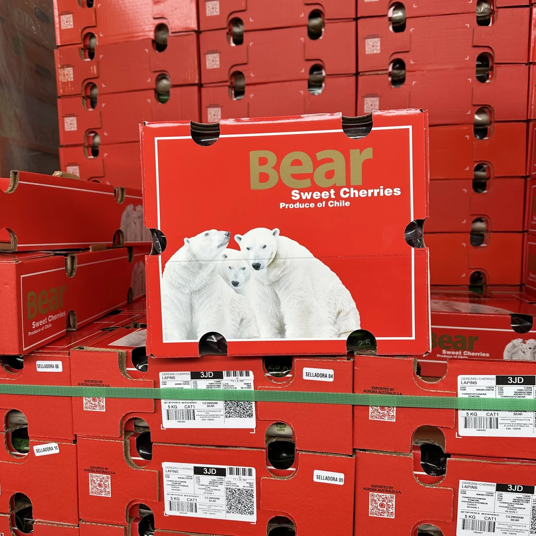 【冰熊Bear】3J5-10斤二合一原装智利海运车厘子【原装不拆箱】