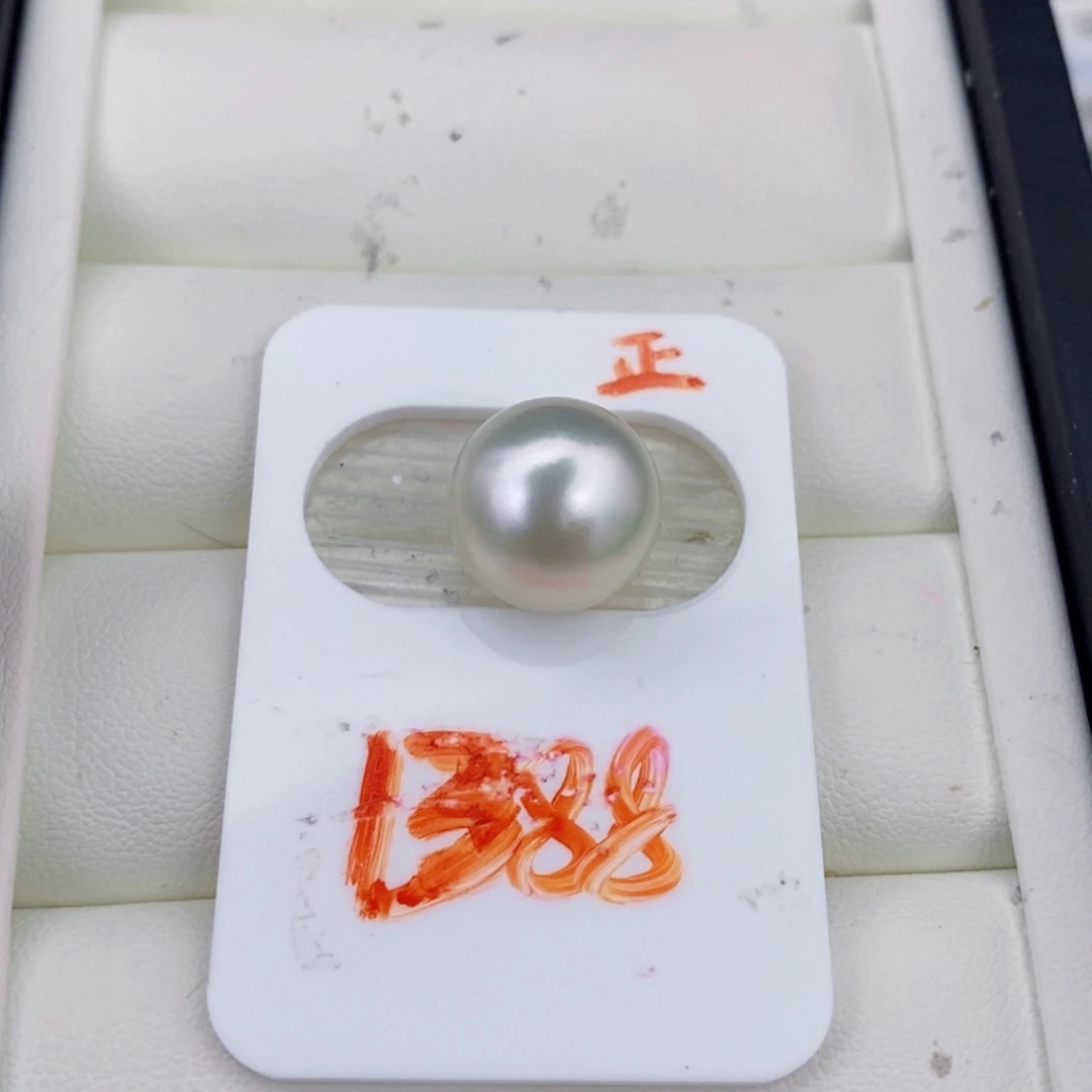 颈饰未镶嵌海水珍珠