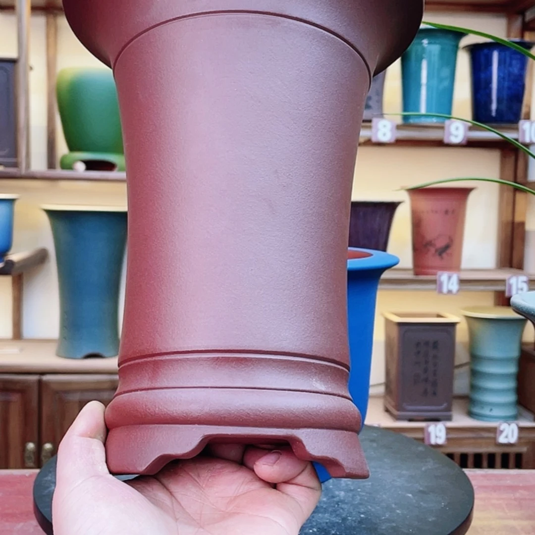 【闪购商品】紫砂花盆厚*兰花755885555555555587