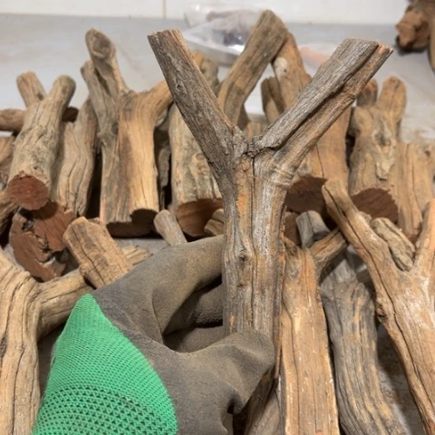 大果紫檀（缅甸花梨）N*