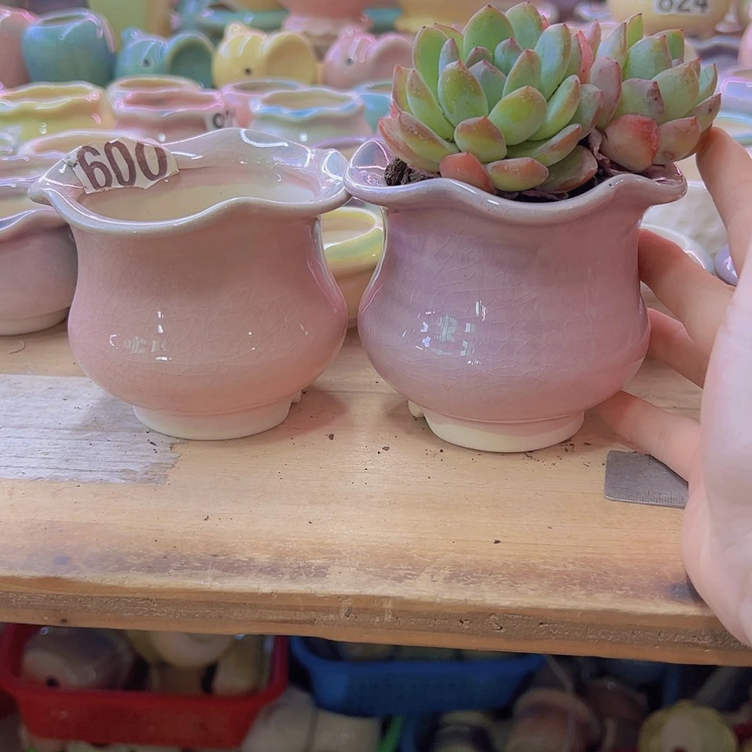 陶瓷花盆当场满12包邮