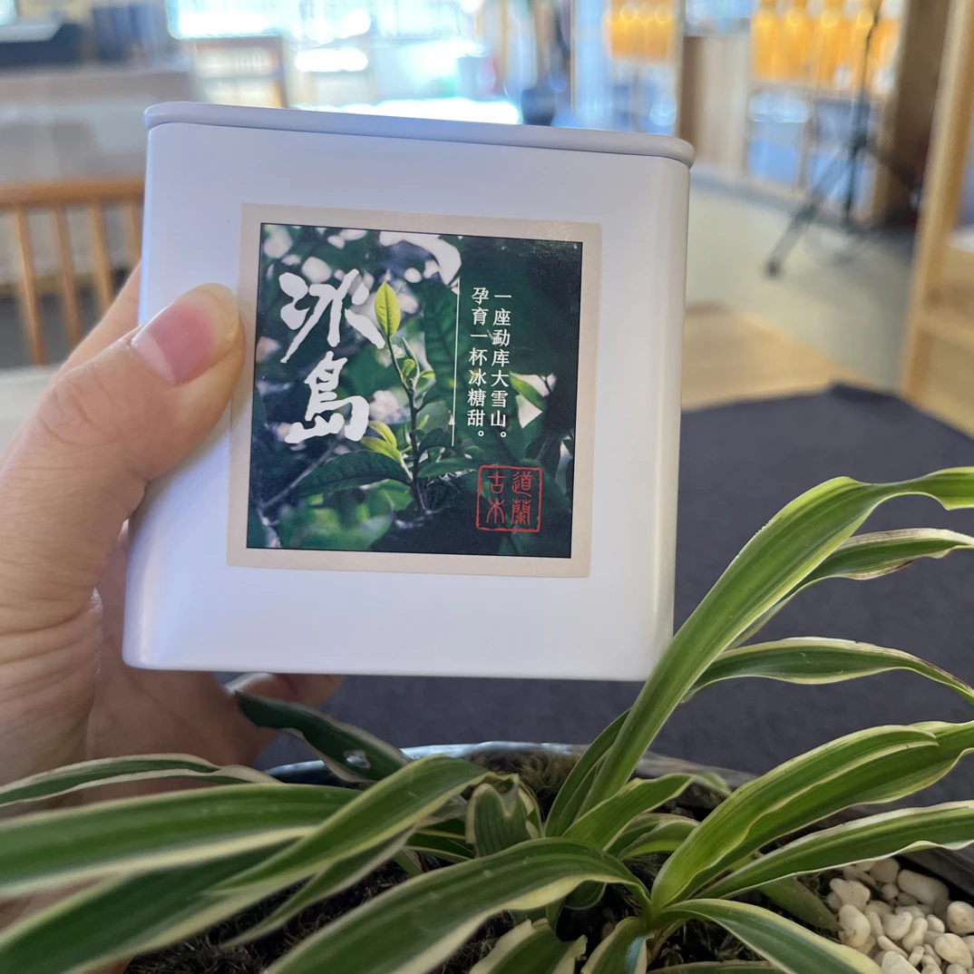 【新品】2024年冰岛老寨秋龙珠8g/颗 12颗/盒生茶