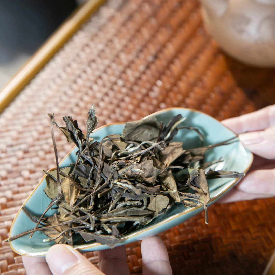 福鼎白茶2016枣香老白茶100克