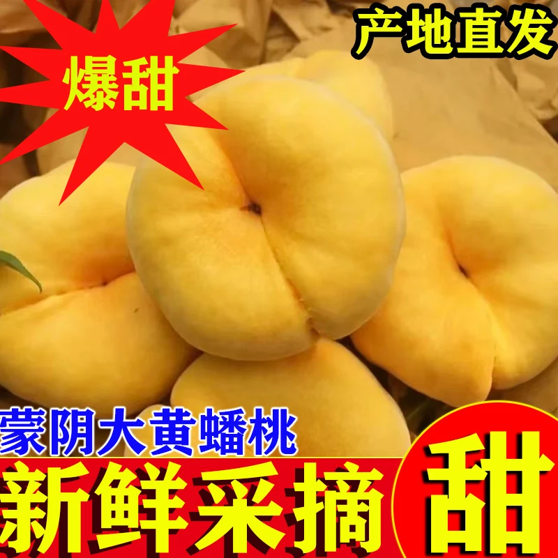 山东蒙阴黄金蟠桃蟠桃黄油桃大果新鲜蟠桃应季水果奶油