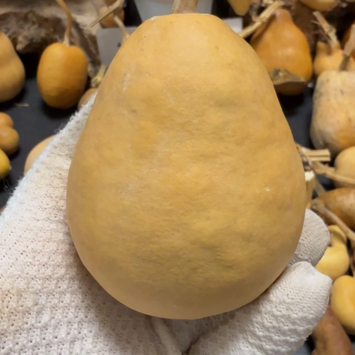 二***哥66666666777777888999