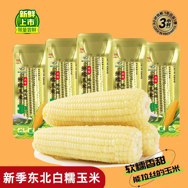 【试吃4根】铝箔袋五常大白糯玉米10根 大棒280-380g/根零添加