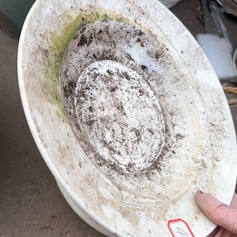 瓷片国营厂库存微瑕26厘米42