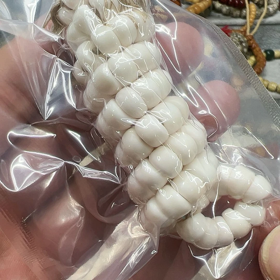 驼骨其他55白驼骨大肠0.8-108有粽裂