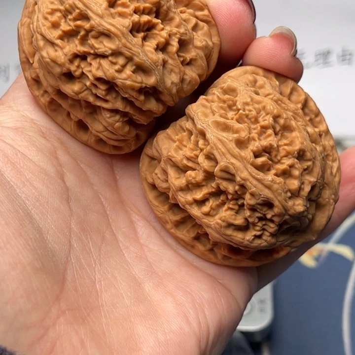 文玩核桃把件粗筋47