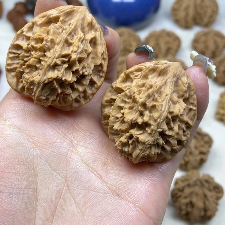 木秦岭老王核桃野果