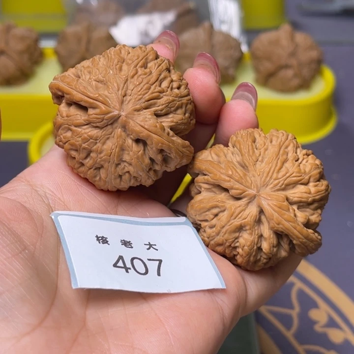 文玩核桃把件粗筋45.407