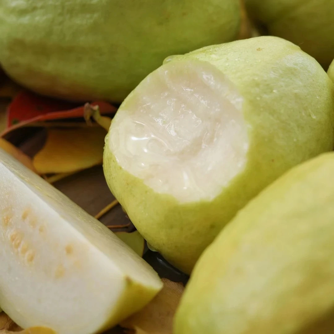 【老沙严选】阿嬷的芭乐奶油白心芭乐礼盒装4.8斤左右10-12颗