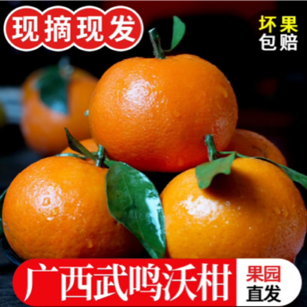 【精选广西武鸣沃柑】香甜橘子当季新鲜水果鲜甜多汁