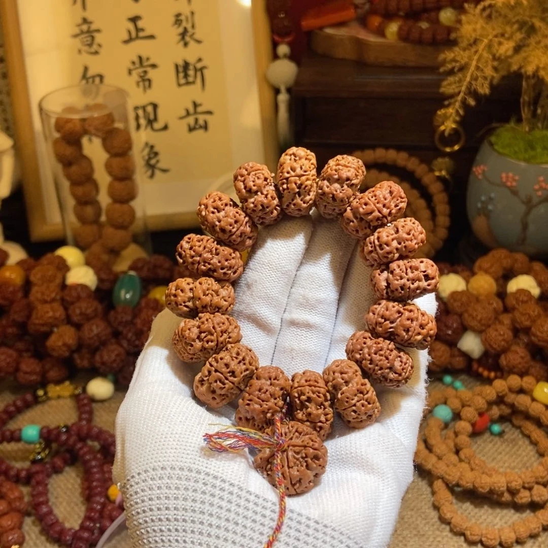 金刚菩提手串235夹板原籽P