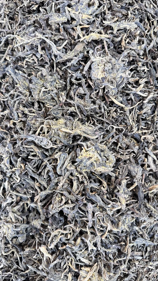 【龙哥私房茶】冰岛金花古树 2010年 洞藏 云南普洱茶散茶