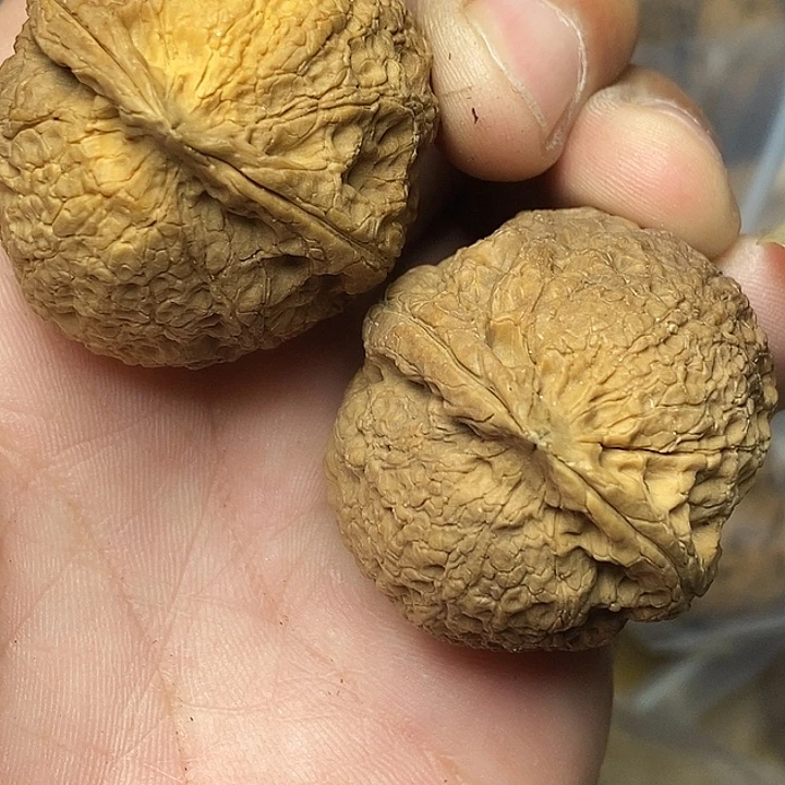 文玩核桃把件志成云铁文玩95