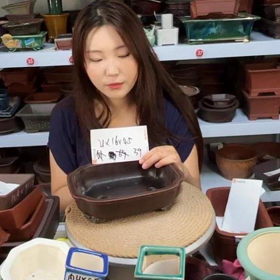 紫砂花盆宜兴紫荆